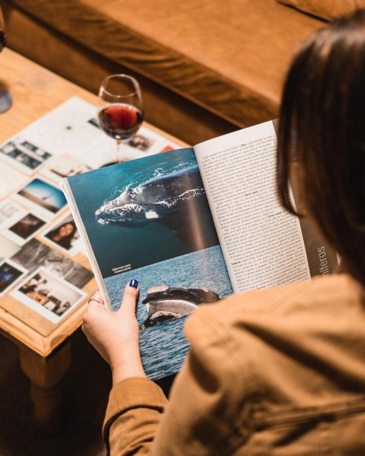 Chepatagonia & Experiences Hostal